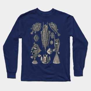 Ernst Haeckel Ostraciontes Fish Lavander Grey Long Sleeve T-Shirt